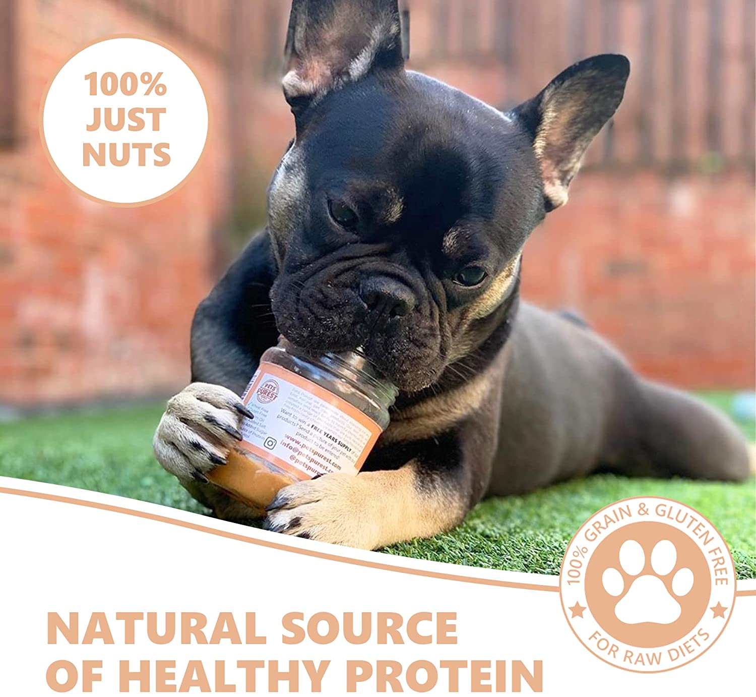 Pets Purest - Natural Peanut Butter for Dogs | 340g