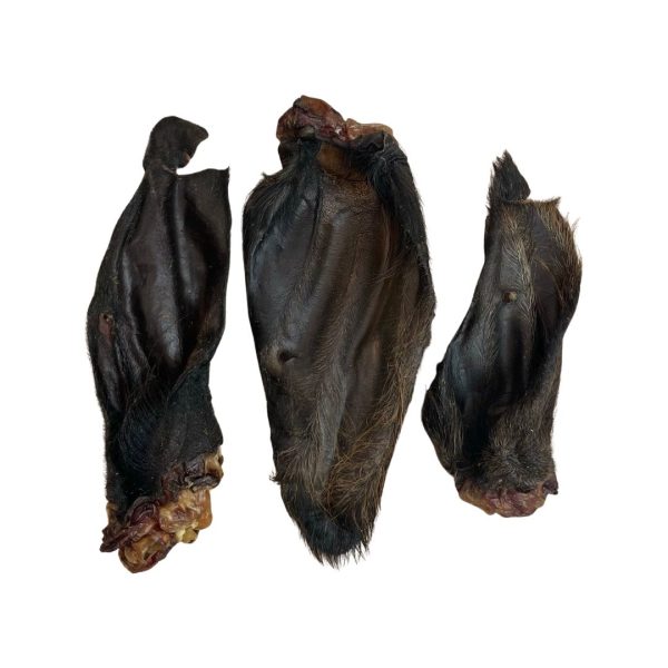 Hairy Buffalo Ear