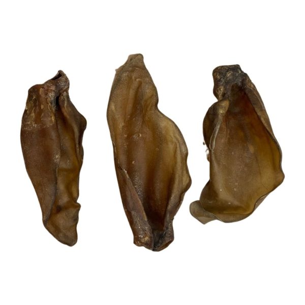 Large Buffalo Ear