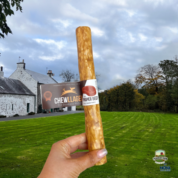 Chewllagen Beef Roll 10''