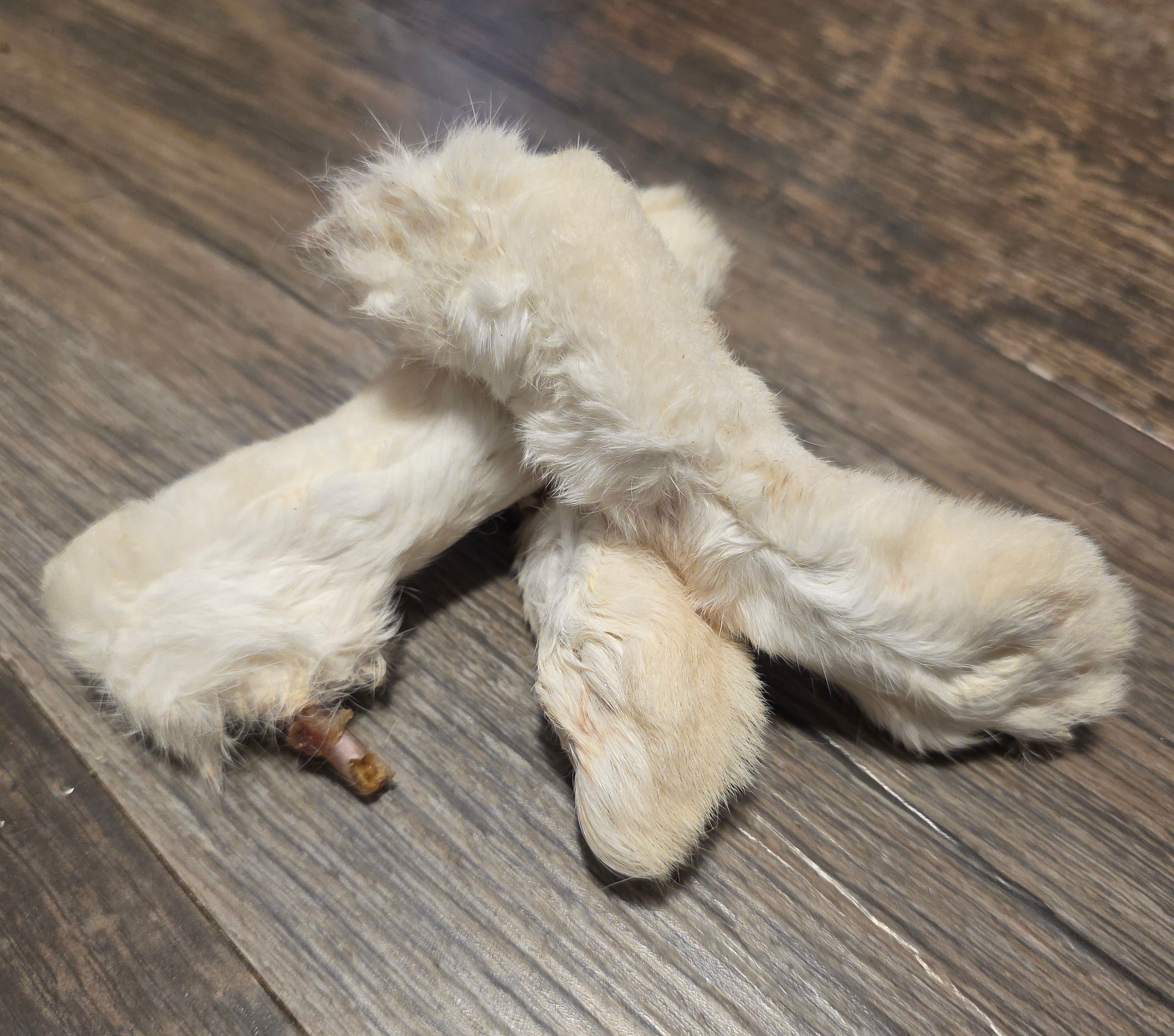 Rabbit Feet with Hair
