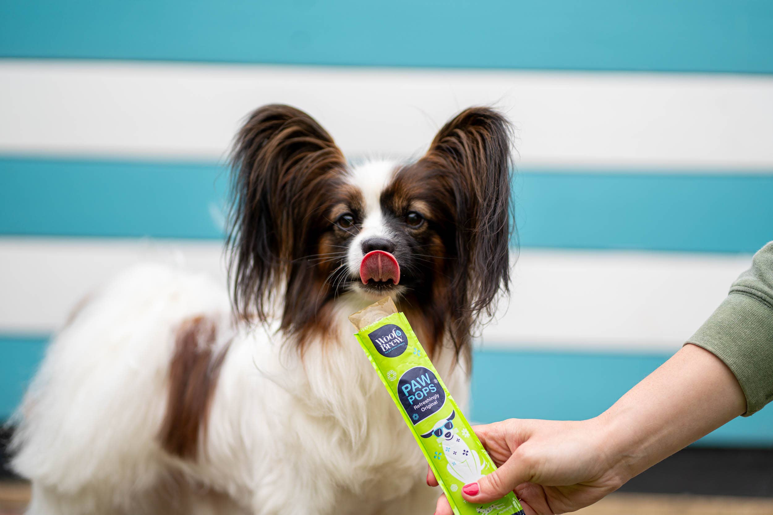 Woof&Brew Paw Pops for Dogs  - Freeze Pops for Dogs - Doggy Ice Pops