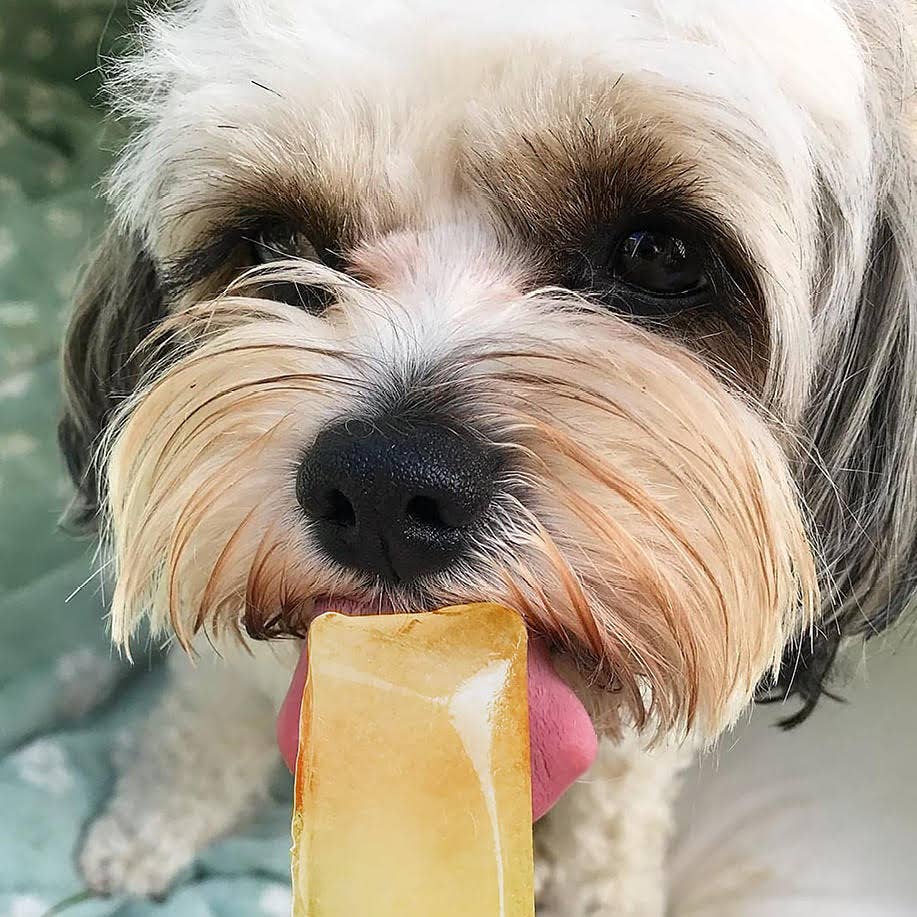 Woof&Brew Paw Pops for Dogs  - Freeze Pops for Dogs - Doggy Ice Pops
