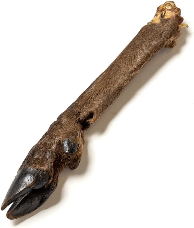 Hairy Doe Legs (Venison)