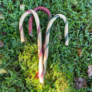Dog Christmas Candy Cane Treat