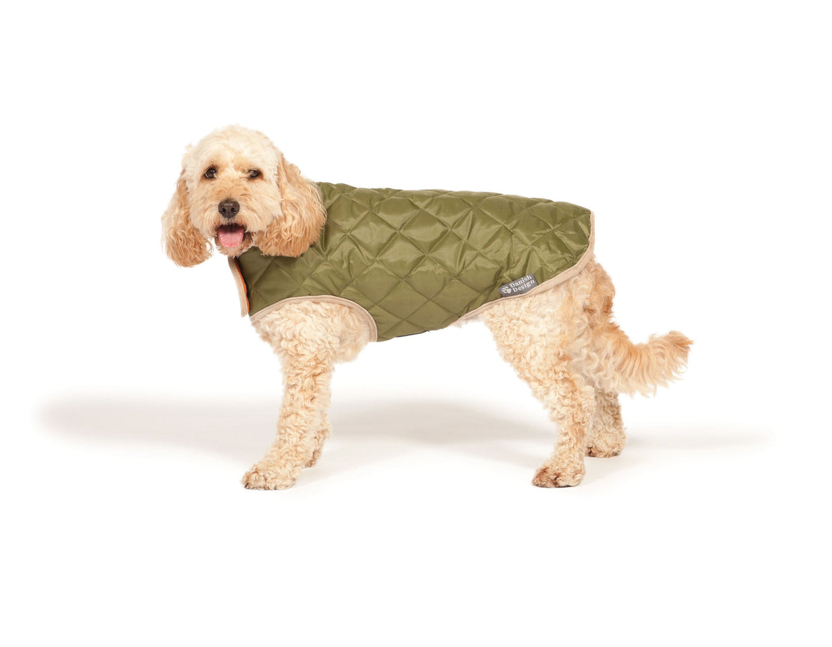 Forest Green Quilted Dog Coat by Danish Design