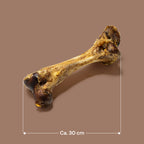 Jumbo Ostrich Bones