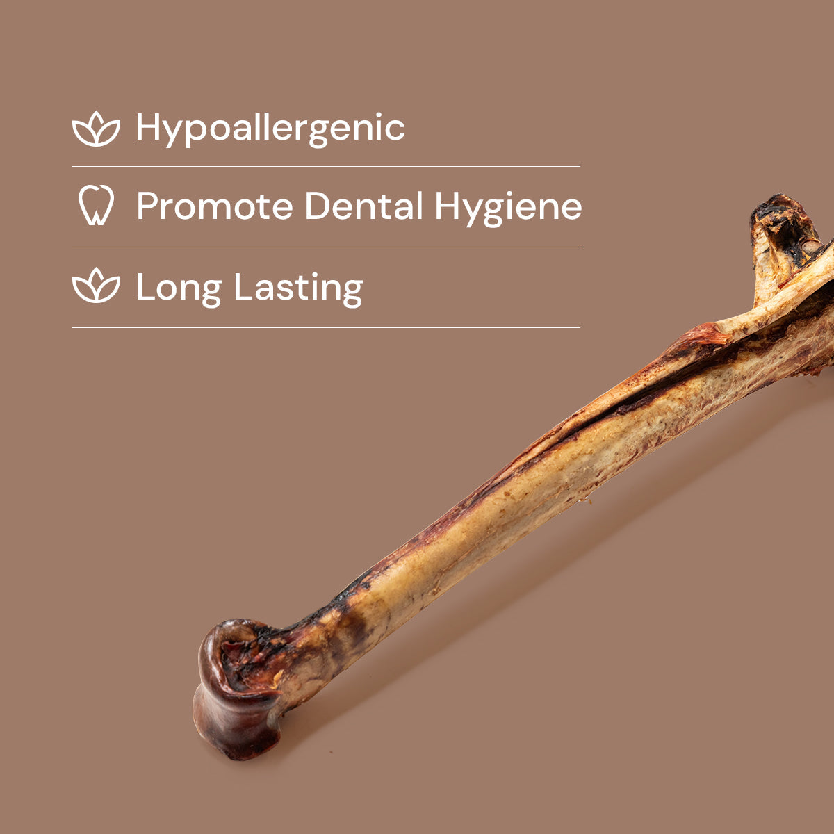 Long Ostrich Bones