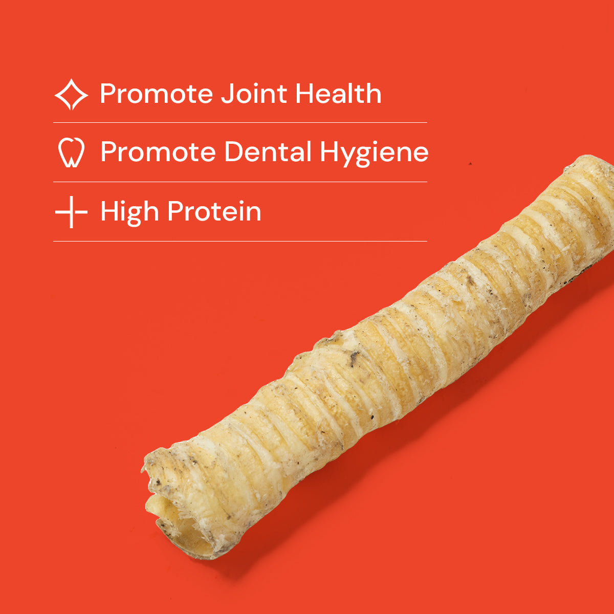 Long Trachea