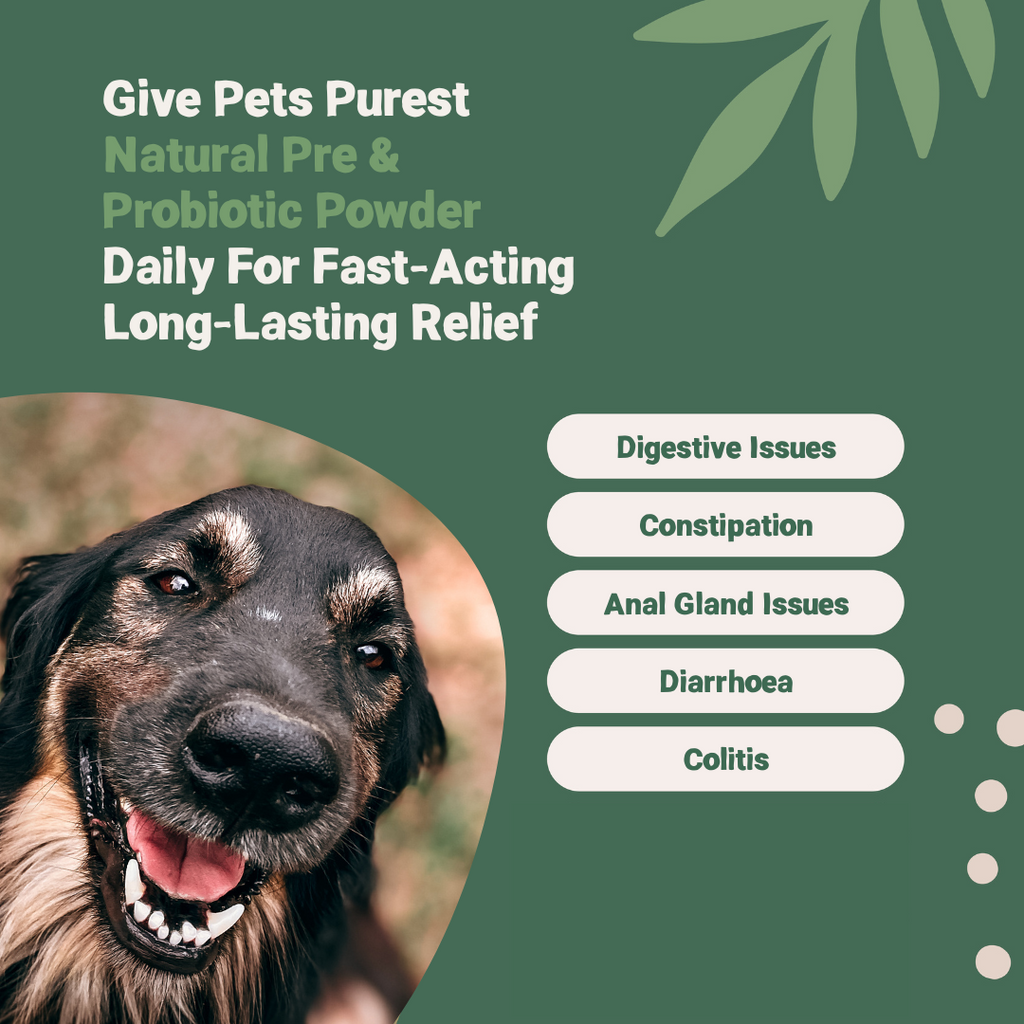 Pets Purest - Pre & Probiotic Powder
