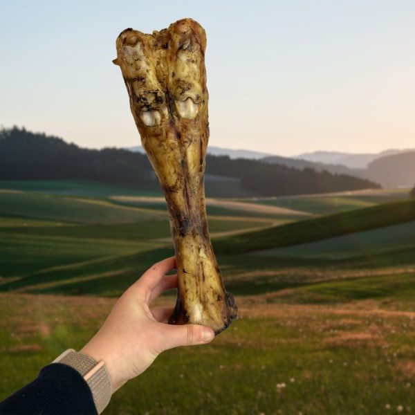 Beef Leg Bones