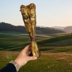 Beef Leg Bones