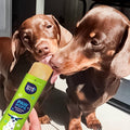 Woof&Brew Paw Pops for Dogs  - Freeze Pops for Dogs - Doggy Ice Pops