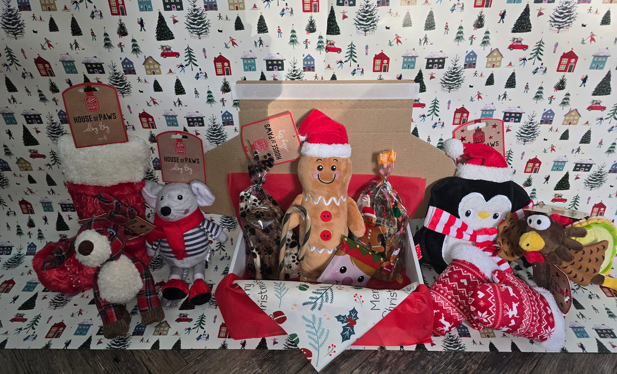 Dog Christmas treat box