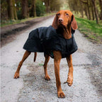 Danish Design Black Harness 2-in-1 Ultimate Dog Coat