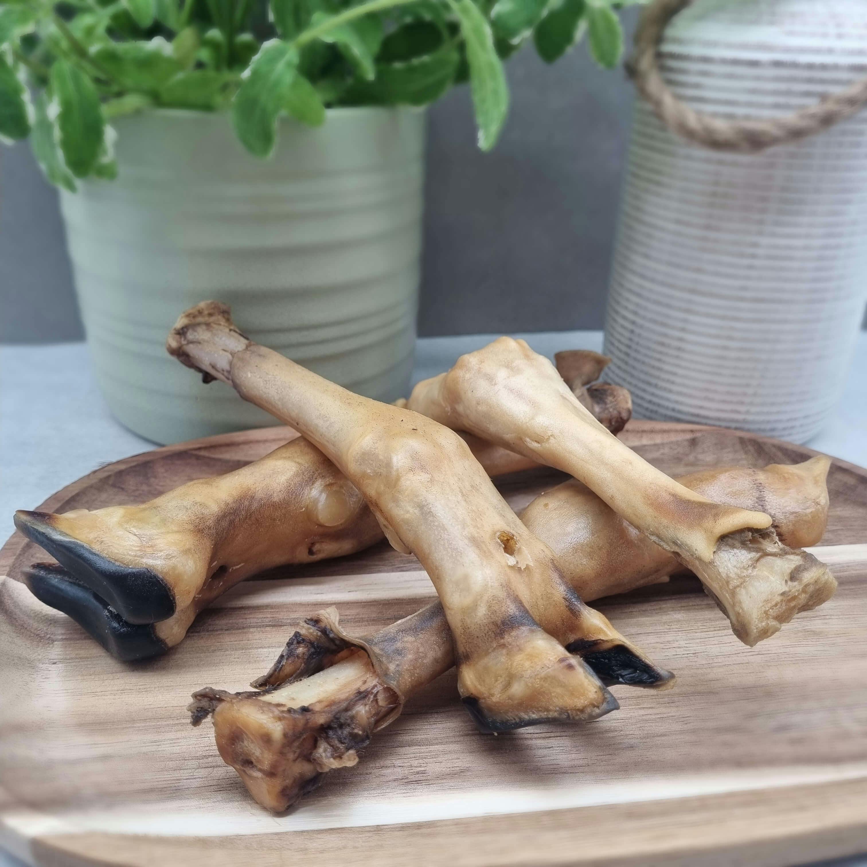 Lamb Trotter
