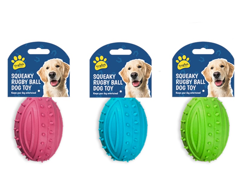 Squeaky Rugby Ball Dog Toy